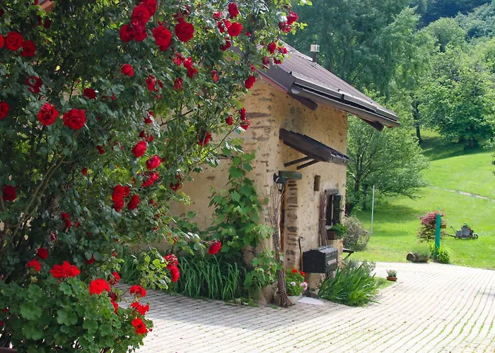 il Bosco