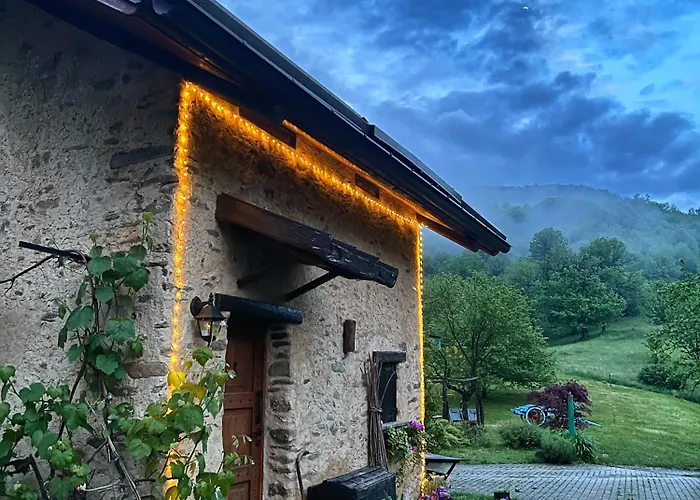 il Bosco
