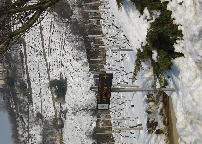 Agriturismo Ai Piacentini